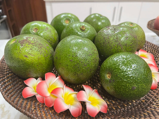 Booth 7 Avocado
