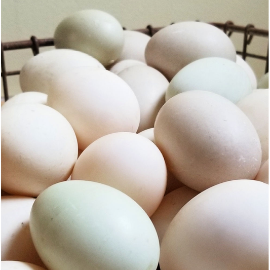 ໄຂ່ເປັດ Duck eggs Pack of 4pcs (Barcode 50103221 )