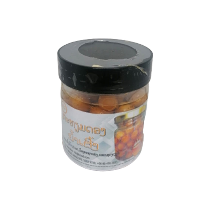 ກະທຽມດອງນໍ້າເຜື້ງ (Barcode 46055703)