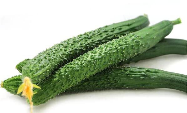 ໝາກແຕງຍີ່ປຸ່ນ Organic Japanese Cucumber per piece (Barcode 50103201)