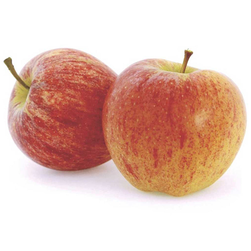 ແອັບເປີ້ນກະລາ Apple Gala pack of 2 pieces Barcode ( 33955607 )