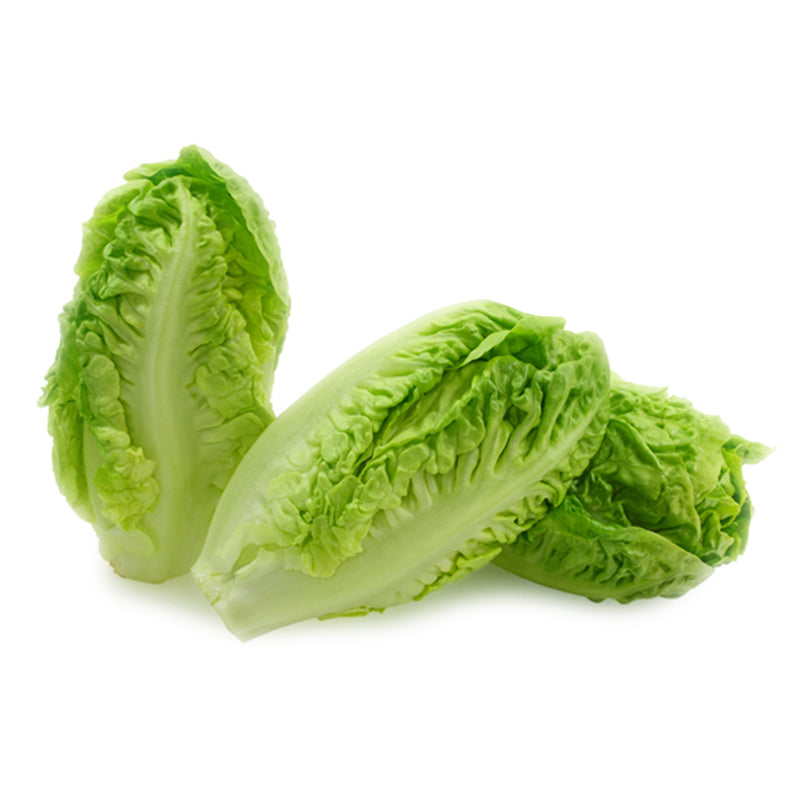 ສະລັດກອບ Romaine Lettuce 200g Pack (Barcode 50103117)