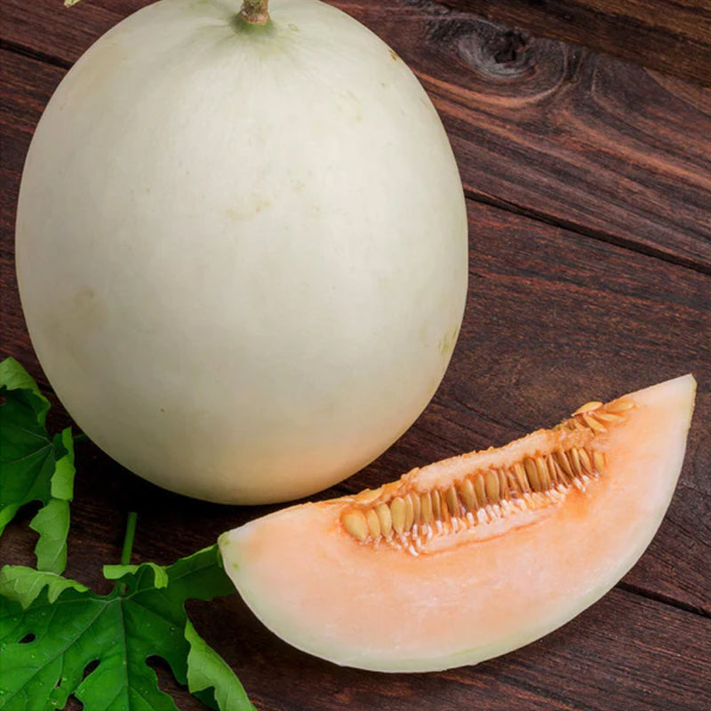CANTALOUP ຕໍ່ຫນ່ວຍ per piece (Barcode 50103227)