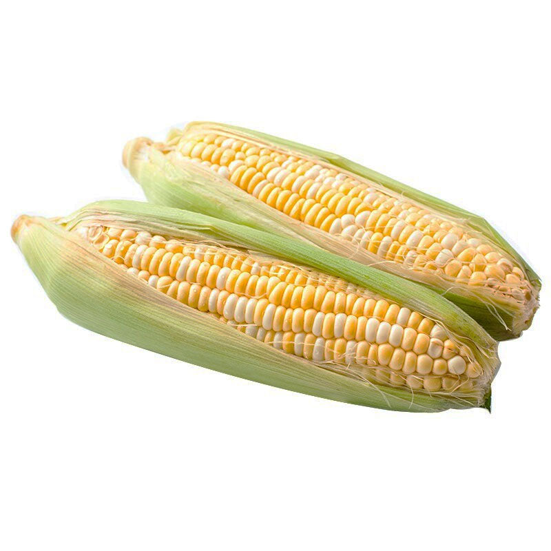 ສາລີຫວານ ແພັກ2ໜ່ວຍ Yellow Corn pack of 2 pieces (Barcode 501030116)