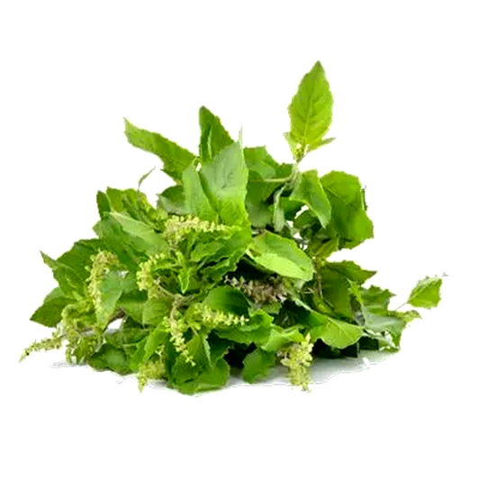 ໃບກະເພົາ Holy basil 50g pack (Barcode 50103224)