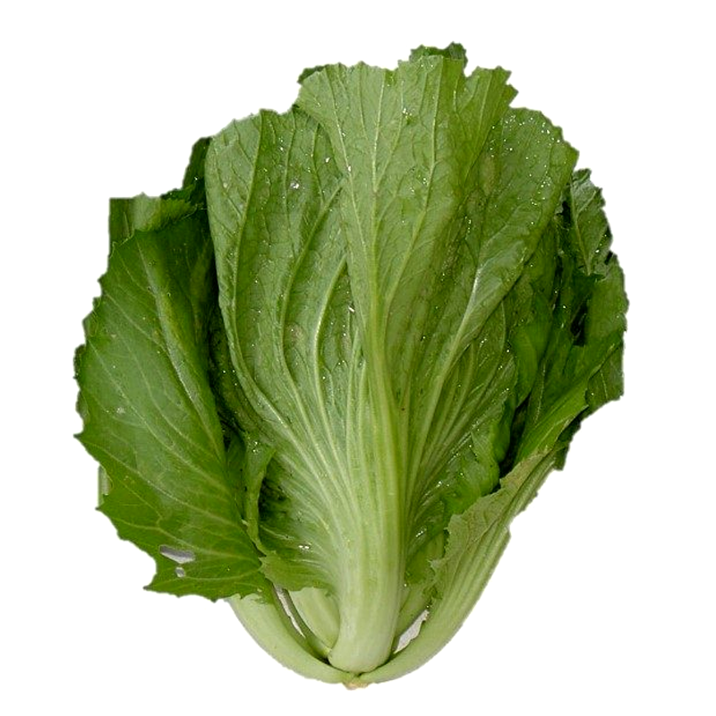 ຜັກກາດຕີນໝີ Mustard green per pack ( Barcode 50103121 )
