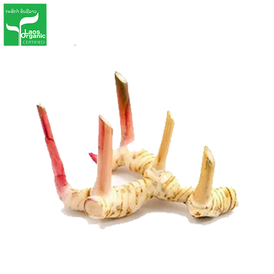 ຫົວຂ່າ Galanga per pieces (Barcode 50103109)