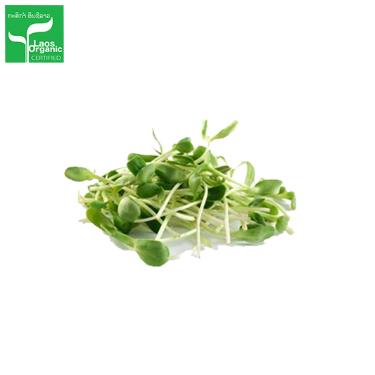 ຕົ້ນຕາເວັນອ່ອນ Sunflower sprouts 200g pack (Barcode 501030120)