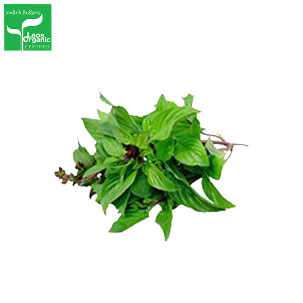 ບົວລະພາ Sweet Basil 50g pack (Barcode 50103216)