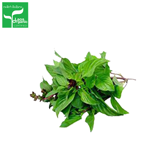 ບົວລະພາ Sweet Basil 50g pack (Barcode 50103216)