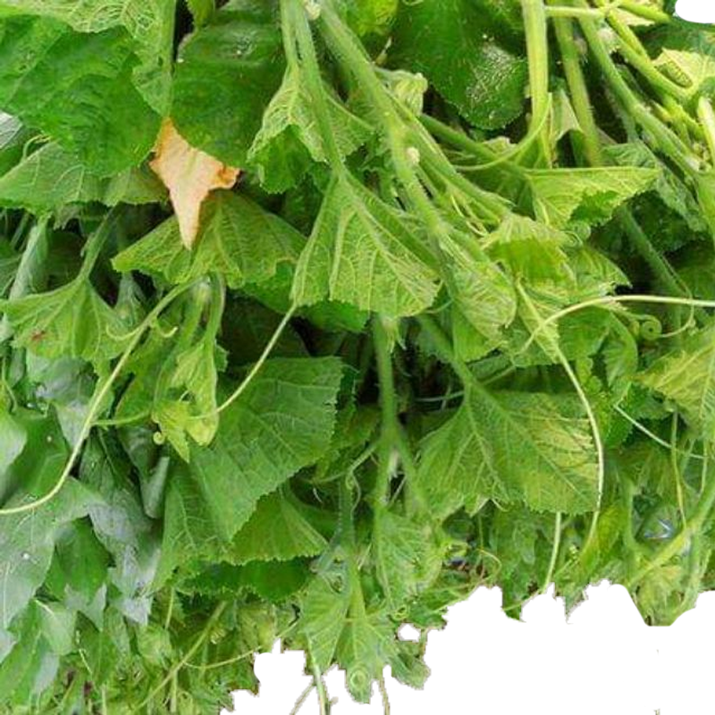 ຍອດໝາກອຶ ຕໍ່ຖົງ Pumpkin leaves pack of 200g ( Barcode 501030193)