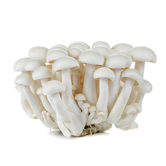 ເຫັດຈອກຂາວ White Shimeji Mushroom per 125g pack (Barcode 6973637650020)