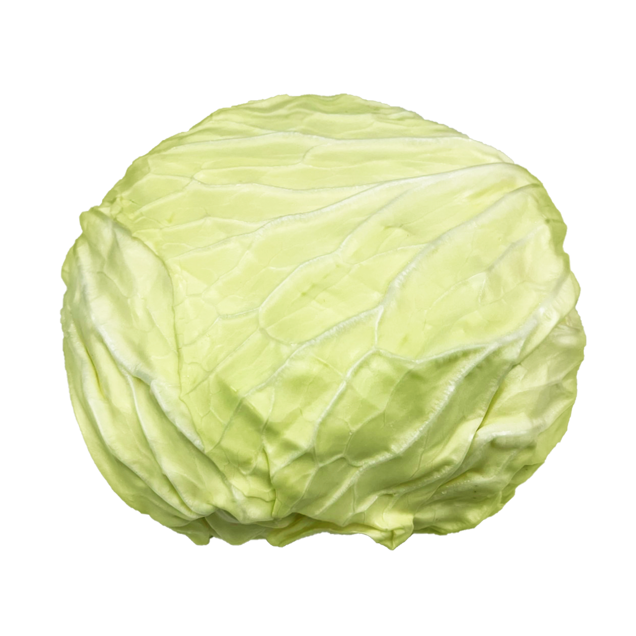 ຜັກກະລໍ່າຂາວ ປອດສານຜິດ 35627031