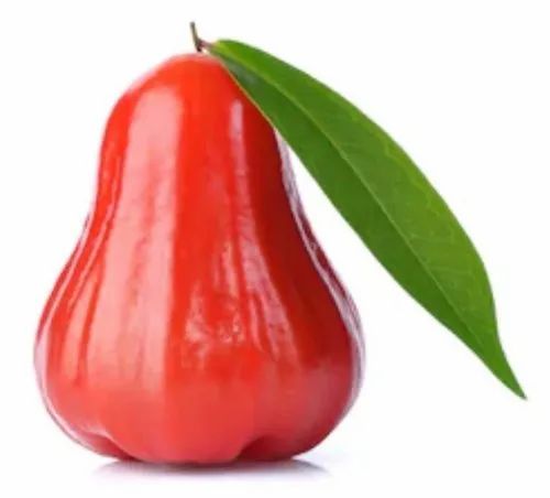 ໝາກຊົມພູ້ Rose Apple 500g pack (Barcode 26989335)