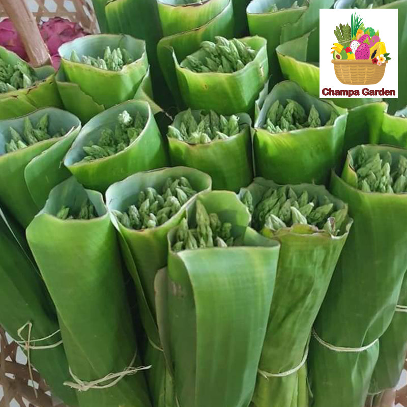 ໜໍ່ໄມ້ຝຮັ່ງ Green Asparagus 200g pack (Barcode 50103084)