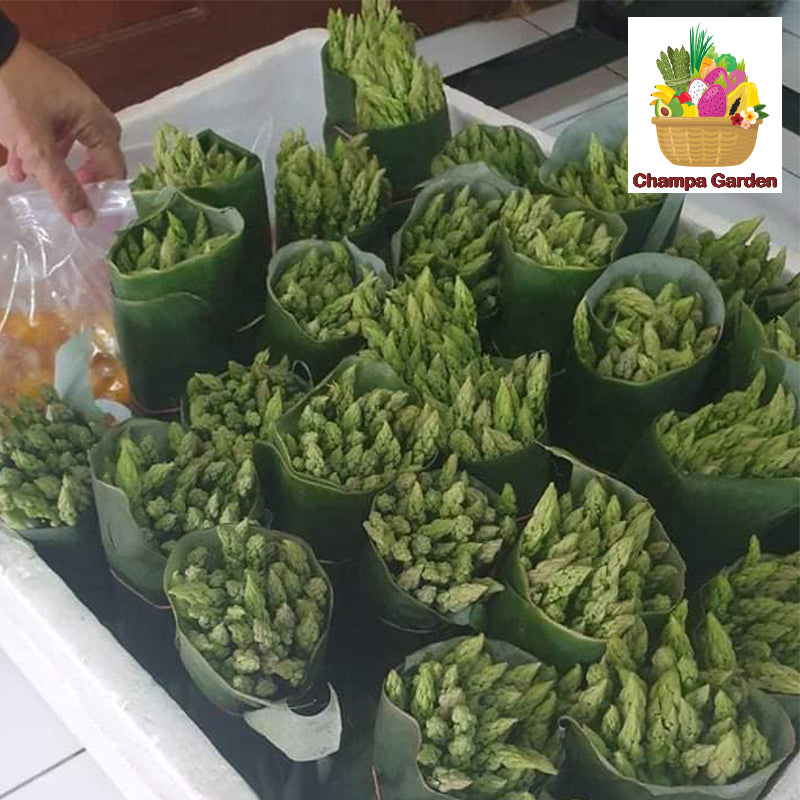 ໜໍ່ໄມ້ຝຮັ່ງ Green Asparagus 200g pack (Barcode 50103084)