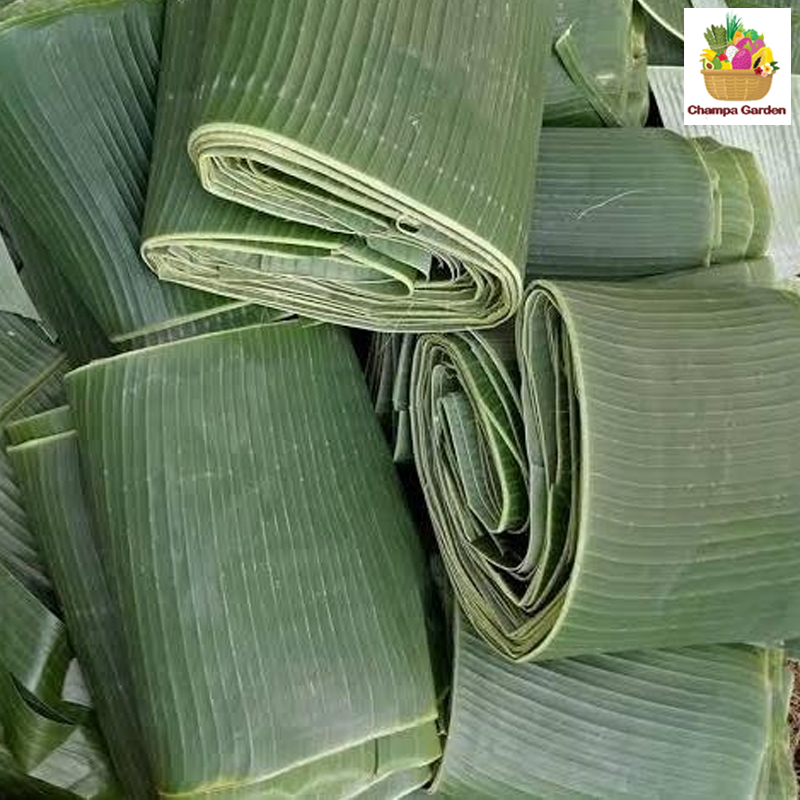 ໃບຕອງ Banana Leaf per pack (Barcode 26261783)