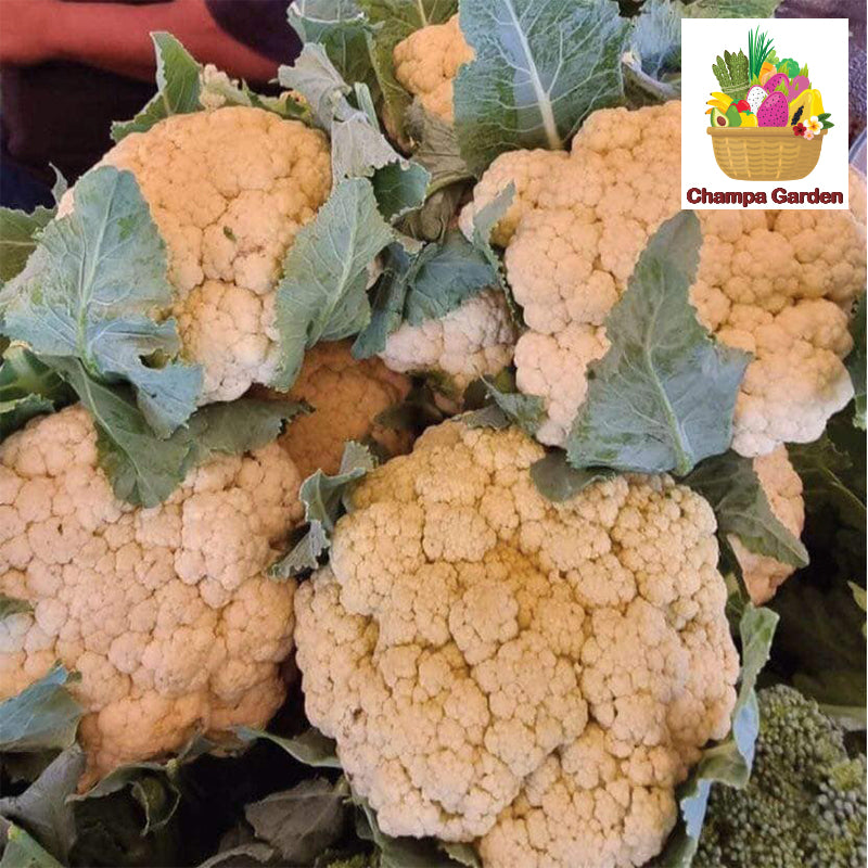 ດອກຂາວ ຕໍ່ຫນ່ວຍ Organic Cauliflower per piece ( Barcode 501030136 )