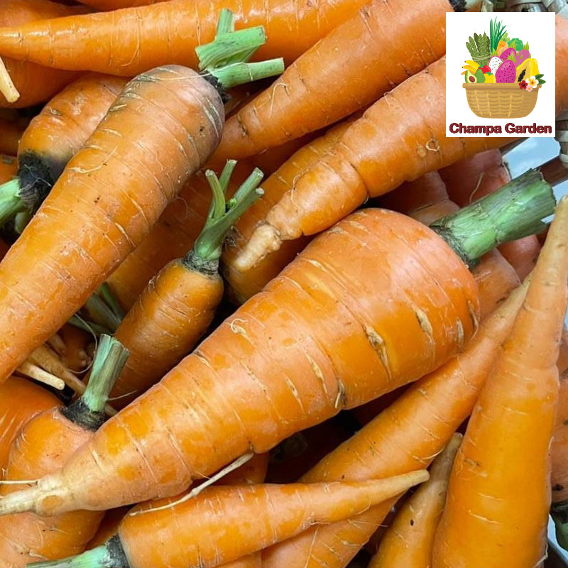 ແຄຣອດ ປອດສານພິດ Organic Carrots 200g pack ( Barcode 50103102)