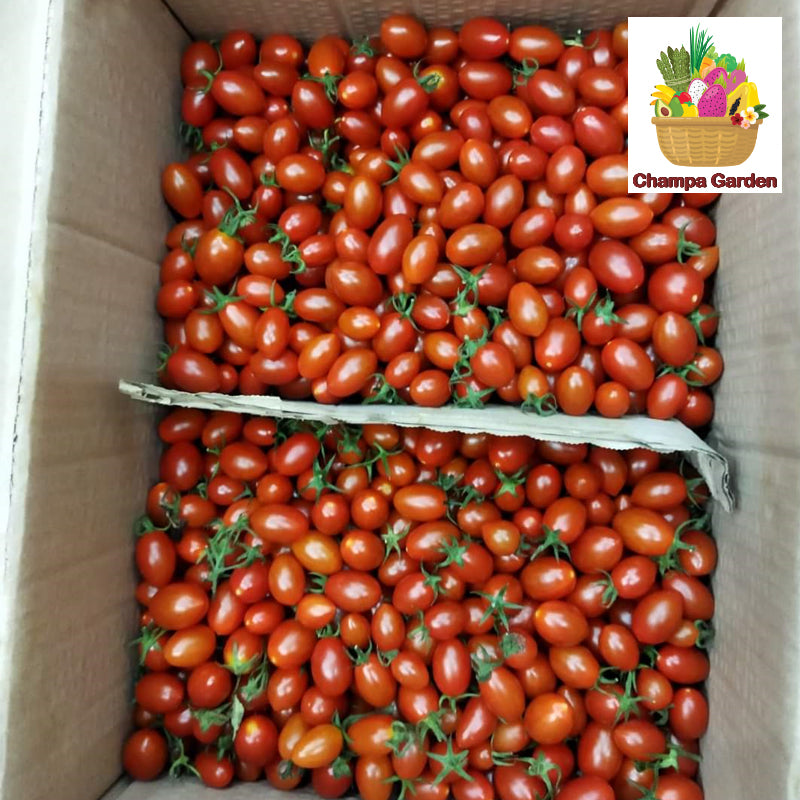 ໝາກເລັ່ນເຊີລີ້ແດງ ນ້ອຍ Organic Cherry Tomato red color 200g pack (Barcode 50103097)