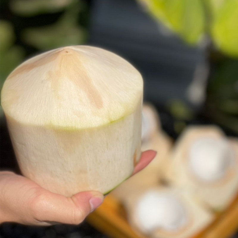 ໝາກພ້າວ Coconut sweet per piece (Barcode 50103162)