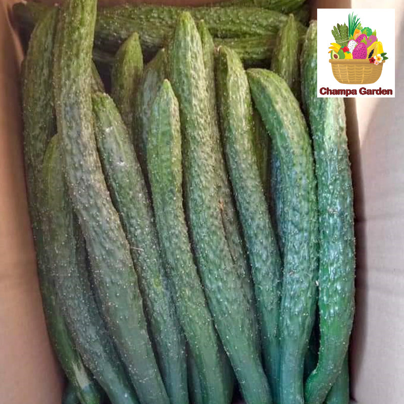 ໝາກແຕງຍີ່ປຸ່ນ Organic Japanese Cucumber per piece (Barcode 50103201)