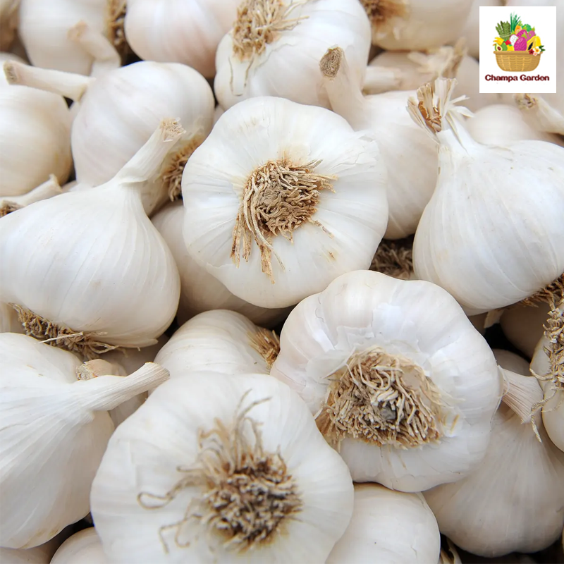 ກະທຽມ ຕໍ່ຖົງ Garlic pack of 200g ( Barcode 50103112 )