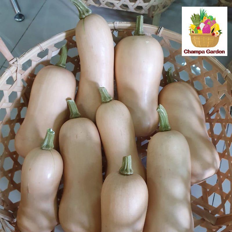ໝາກອຶ ບັດເຕີ້ນັດ ປອດສານພິດ Organic Pumpkin Butter Nut 1kg (Barcode 50103213)