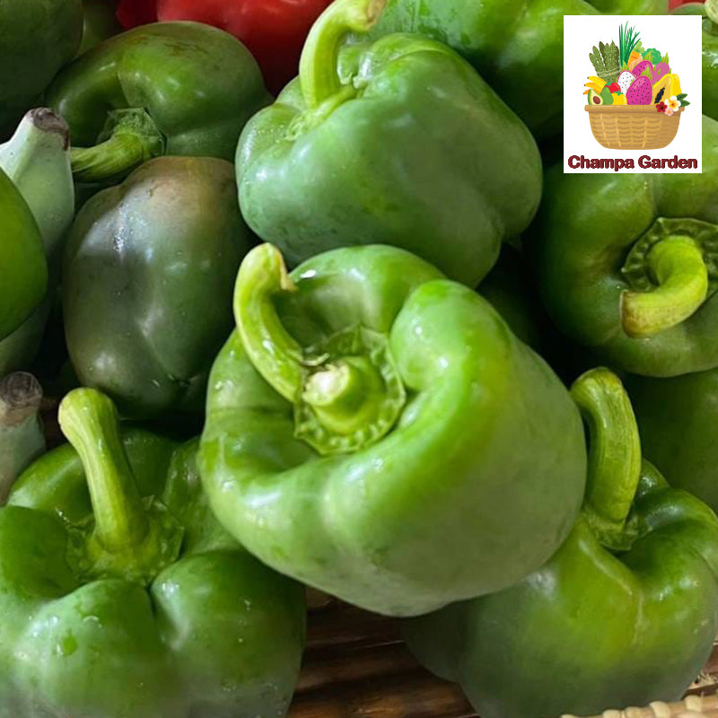 ປາປິກ້າຂຽວ Organic Green Pepper Bell per piece (Barcode 50103202)