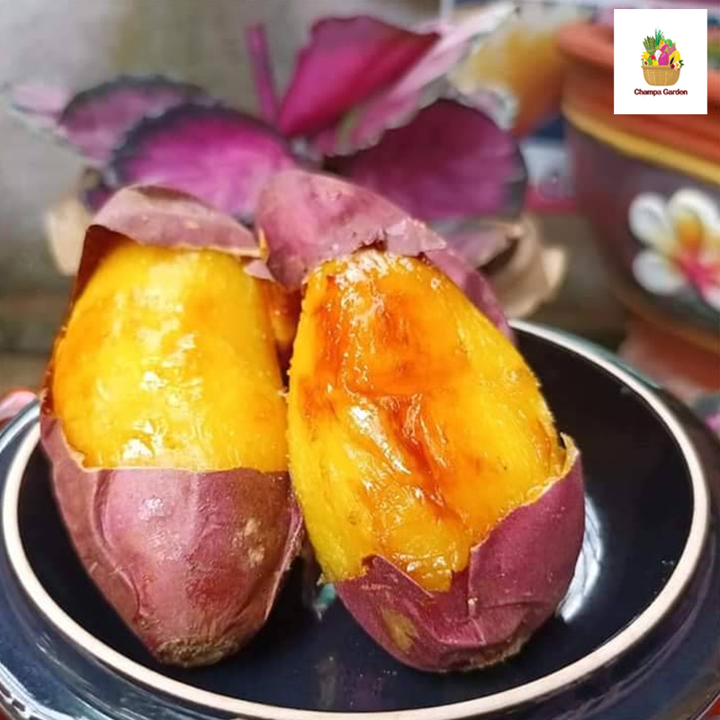 ມັນດ້າງຍີ່ປຸ່ນ Japanese Sweet Potato 1kg pack (Barcode 50103186)