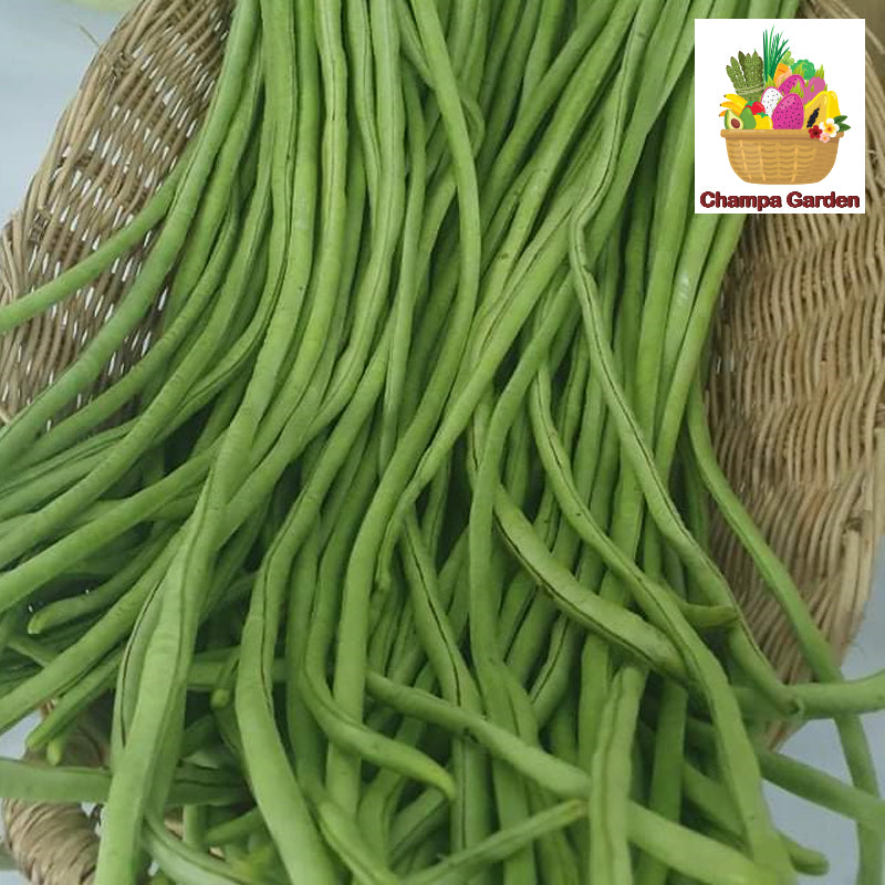 ໝາກຖົ່ວຍາວ Organic Long Beans 100g pack (Barcode 50103096)