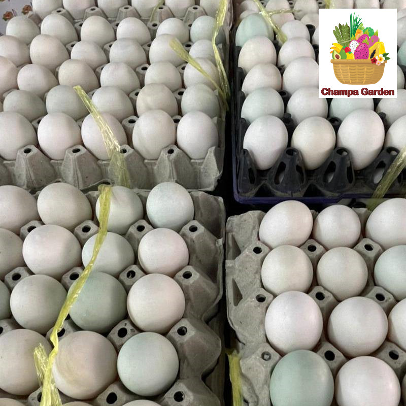ໄຂ່ໄກ່ລາດ Organic Chicken Eggs (Barcode 67297815)