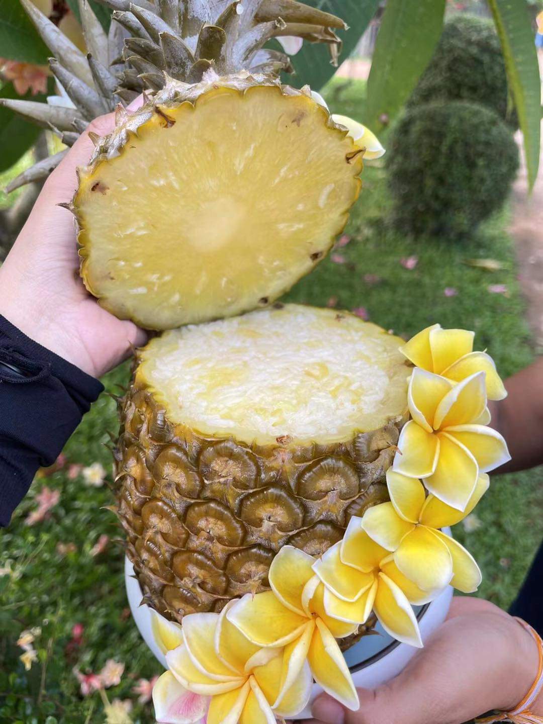 ໝາກນັດ Pineapple per piece (Barcode 50103168)