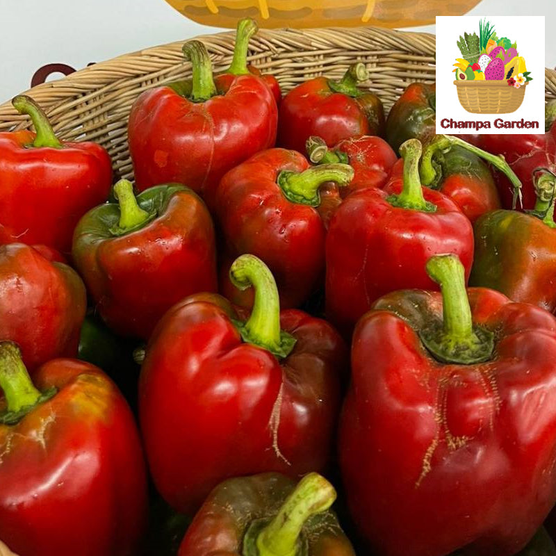 ປາປິກ້າແດງ ປອດສານພິດ Organic Red Pepper Bell 200g pack (Barcode 30054935)