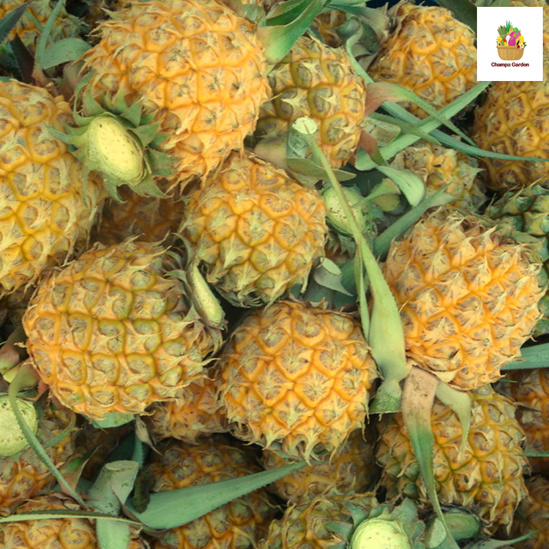 ໝາກນັດນ້ອຍ Small Pineapple 500g (Barcode 50103226)