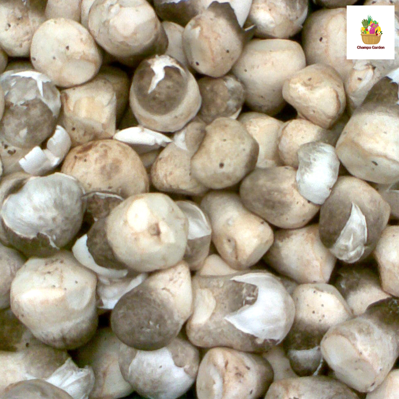 ເຫັດເຟືອງ Straw mushrooms 100g (Barcode 501030180)