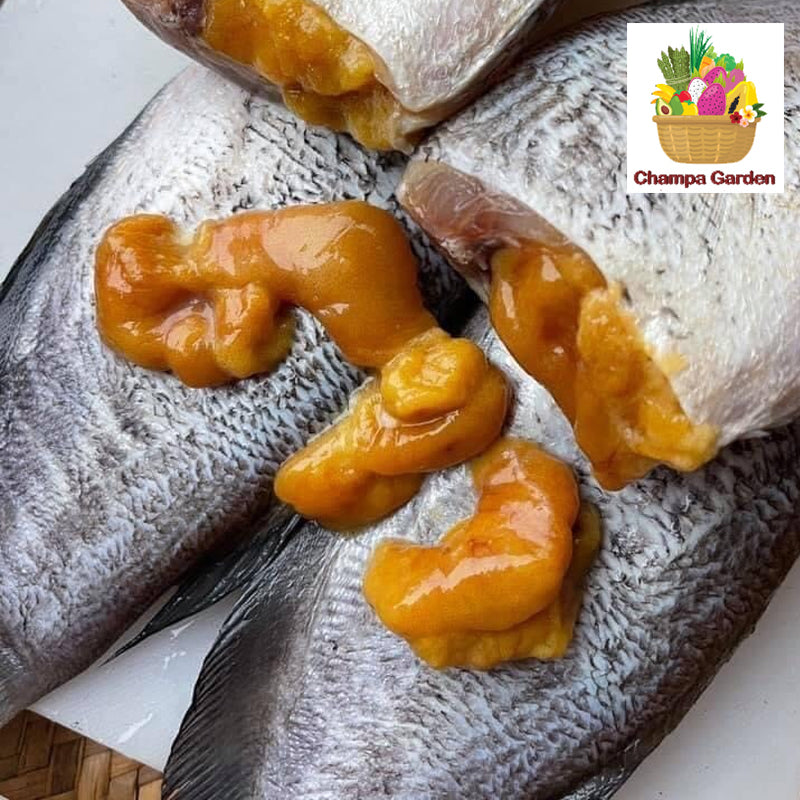 ປາສະລິດ Gourami Fish per pack OF 500g