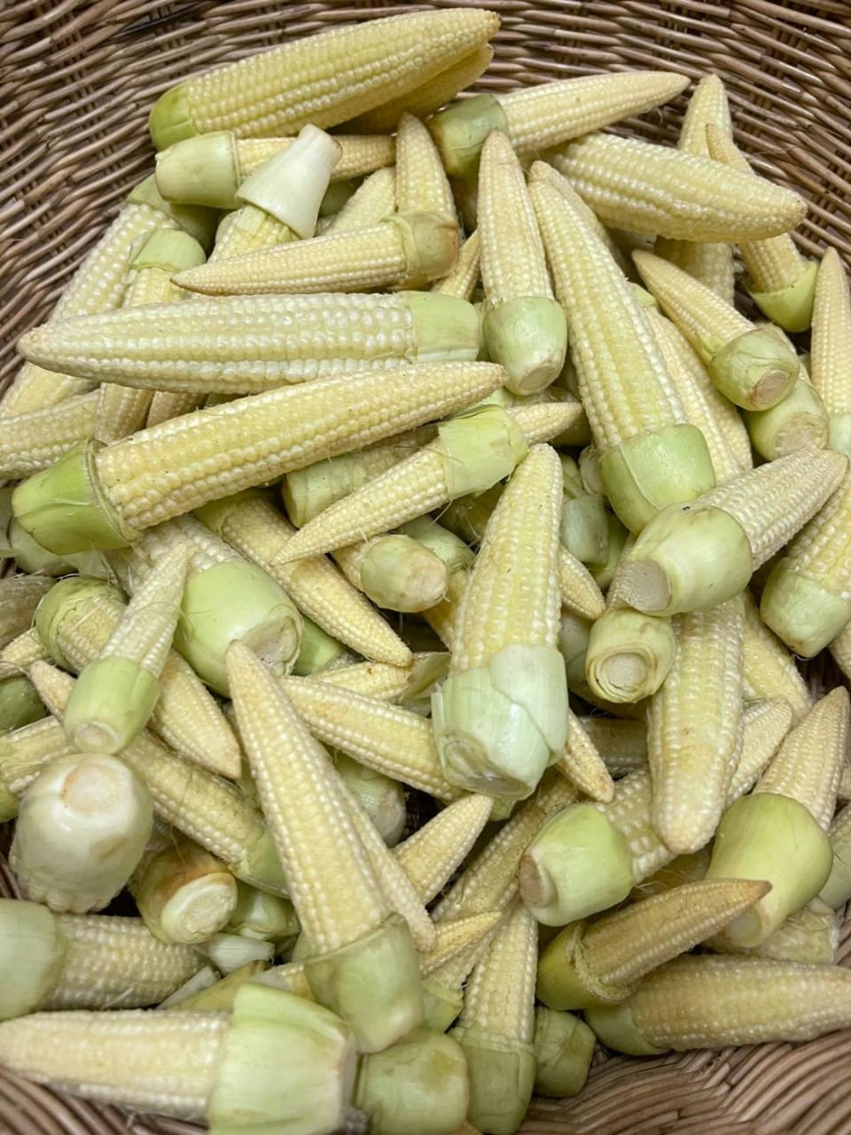 ສາລີອ່ອນ Baby corn pack of 100g ( Barcode 50103088 )