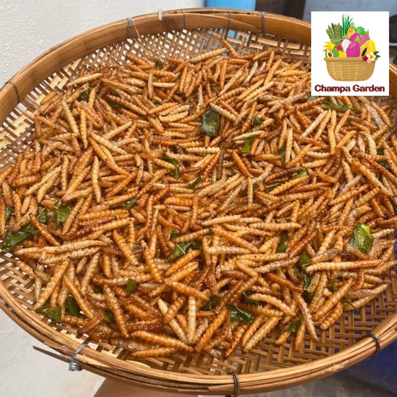 Organic Larvae 500g (Barcode 78701079)