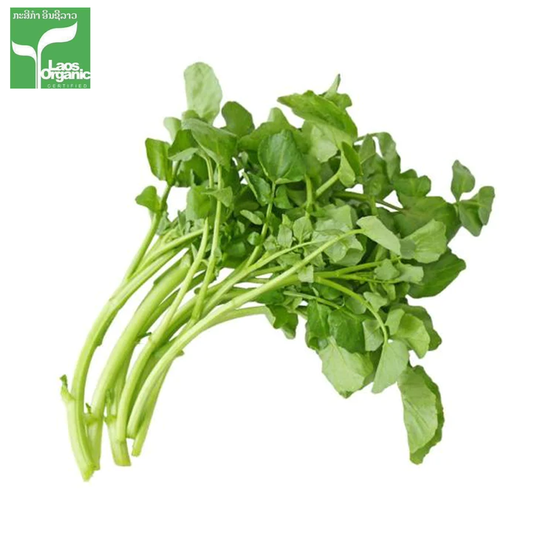 ຜັກຫົມລາວ Lao Green Spinach 200g pack ( Barcode 50103119 )