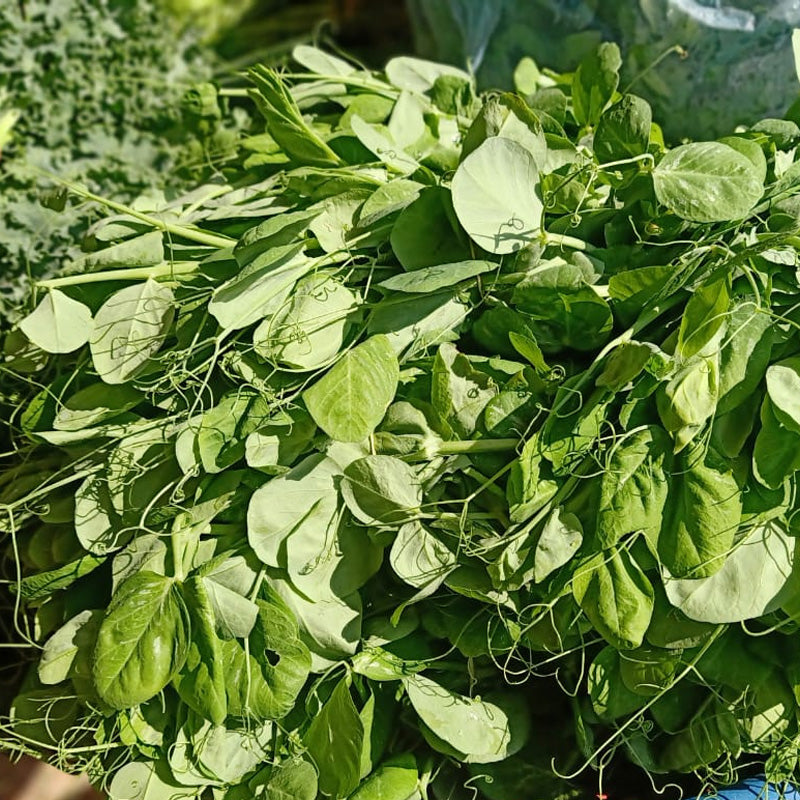 ຍອດຖົ່ວລັນເຕົາ 100g Snow Peas plant (Barcode 501030167)