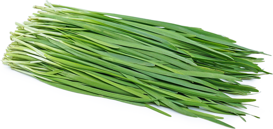 ຜັກແປ້ນ Chinese Chives 50g pack  ( Barcode 50103215 )