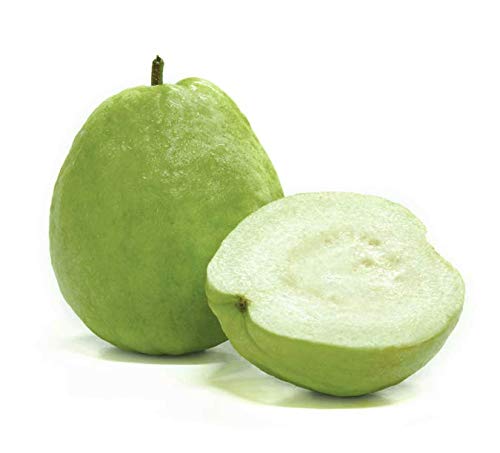 ໝາກສີດາແກ່ນຫນ້ອຍ Guava less seeds pack of 2 pieces (Barcode 50103163)