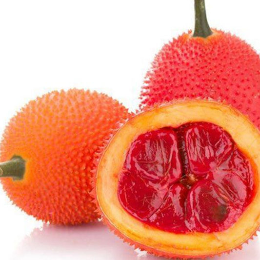 ຫມາກເຂົ້າ 500g Gac Fruit (Barcode 501030189)