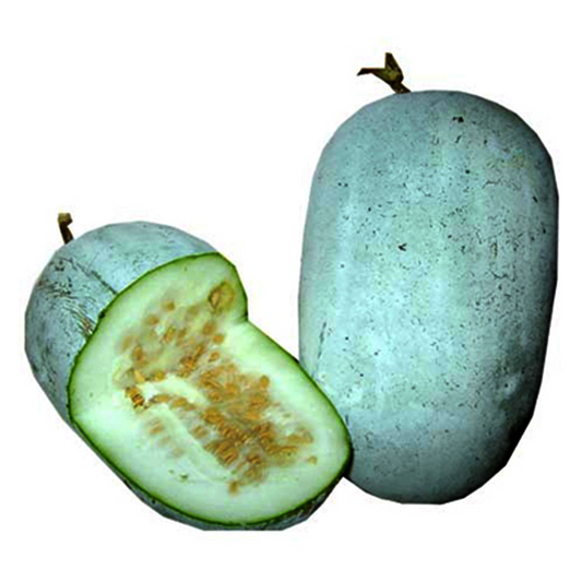 ໝາກໂຕ່ນ Ash gourd long per piece (Barcode 26589463 )