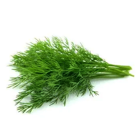 ຜັກຊີ Dill 50g pack (Barcode 50103138)