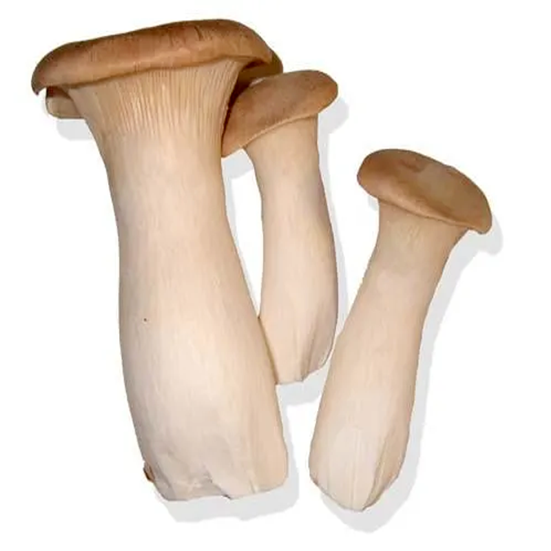 ເຫັດສິເມຈິ Eringi mushroom 200g pack  (Barcode 50103182)