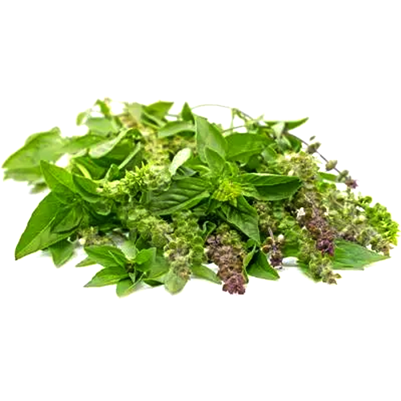 ຜັກນາງຕູ່ Hairy Basil 50g pack (Barcode 85853207)