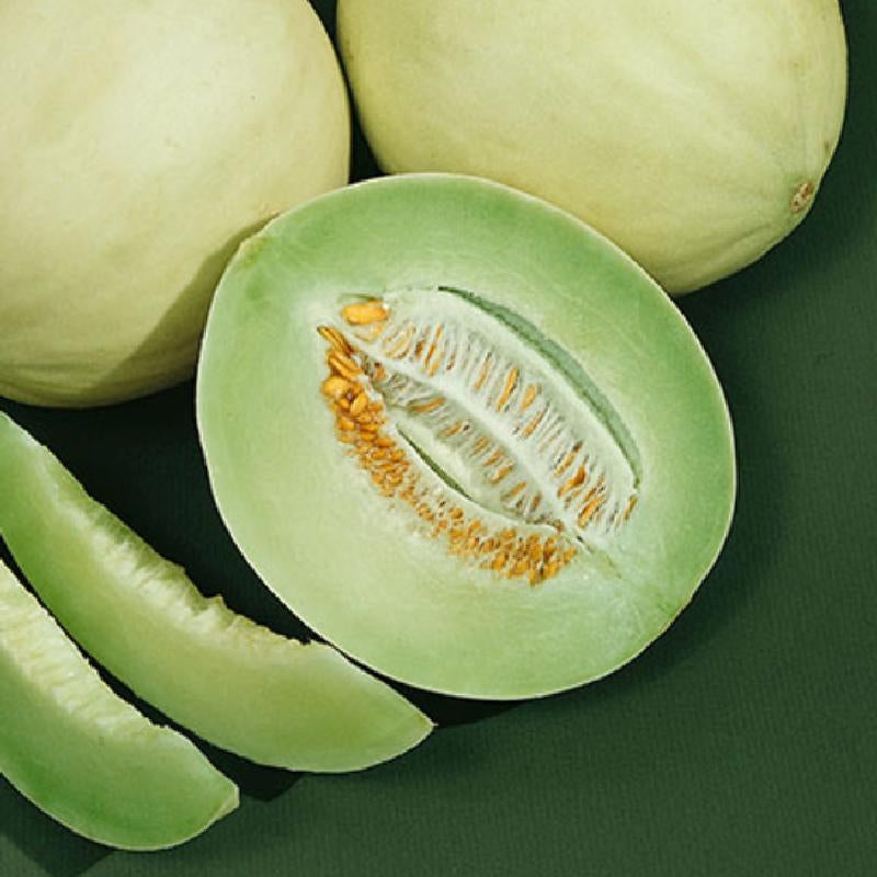 ໝາກແຕງມົນຂາວ ຫວານ Honeydew melon per piece (Barcode 50103155)