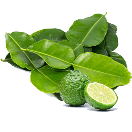 ໃບຂີ້ຫູດ Kaffir leaves 50g pack (Barcode 50103110)